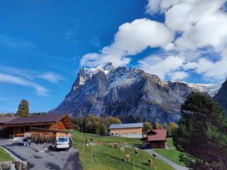 Apartment Boimenzüün 2 Bett Wohnung by Interhome - Grindelwald - 2