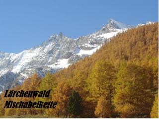 Apartment Chalet Les Arolles Appartement-Fewo 10-Bettwohnung by Interhome - 2