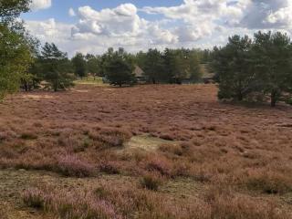 Apartment De lüt Ferienhof Jameln Lüneburger-Heide-Wendland by Interhome - 7