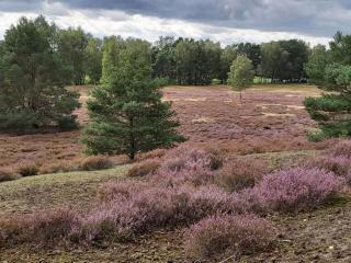 Apartment De lüt Ferienhof Jameln Lüneburger-Heide-Wendland by Interhome - 5