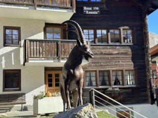 Apartment Ferienhaus Lomatte 1758 Appartement-Fewo Appartement-Fewo by Interhome - 4