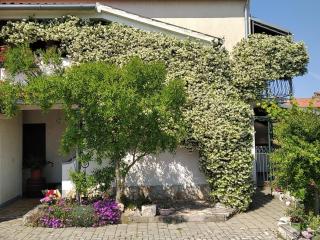 Apartment Apartment Sasa A3 - HR-11069-02 by Interhome - 0