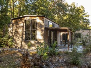 Holiday Home Vakantiepark De Wiltzangh - Tiny Borg by Interhome - 9