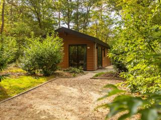 Holiday Home Vakantiepark De Wiltzangh - Sterrenborg Lodge by Interhome - 0