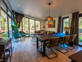 Holiday Home Vakantiepark De Wiltzangh - Zandborg Lodge by Interhome - 8