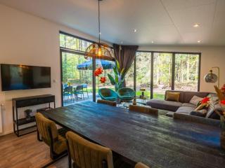 Holiday Home Vakantiepark De Wiltzangh - Zandborg Lodge by Interhome - 7