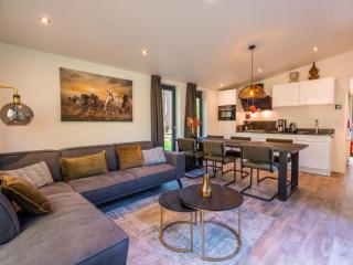 Holiday Home Vakantiepark De Wiltzangh - Zandborg Lodge by Interhome - 6
