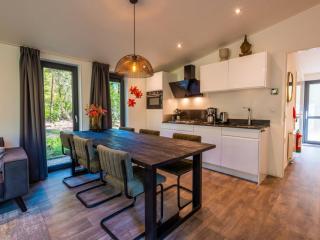 Holiday Home Vakantiepark De Wiltzangh - Zandborg Lodge by Interhome - 5