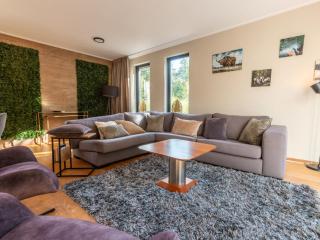 Holiday Home Vakantiepark De Wiltzangh - De Havezate Wellness by Interhome - 6
