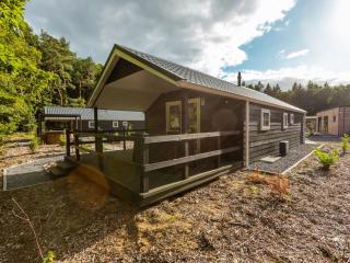 Holiday Home Vakantiepark De Wiltzangh - Veenborg Lodge by Interhome - 0