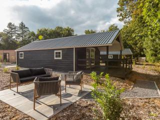 Holiday Home Vakantiepark De Wiltzangh - Veenborg Lodge by Interhome - 9