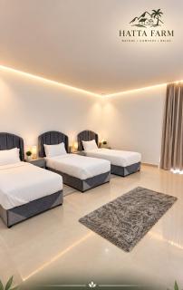 Hatta Retreat Resort & Chalets - 4