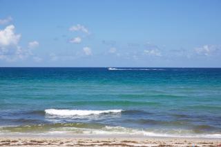 Royal Flamingo Villas - Hillsboro Beach - 5