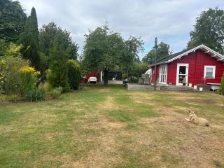 Blockhaus am Waldrand - 2