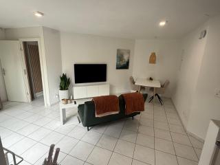 Terrassenwohnung mit Parkplatz - Wangen - 0