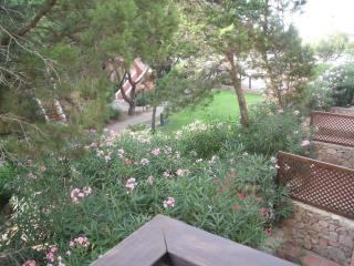 Residence Gardens - Porto Rotondo - 6