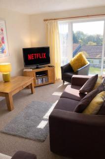 Manorcombe Lodge 3 Bedroom Cornwall - 8