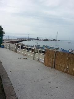 Hristovi Apartments & Studios - Pomorie - 0