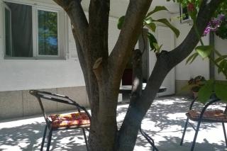 Apartment Anđelka - 8