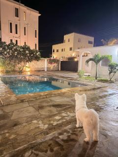 White Villa watamu with Pool sea view access - 7
