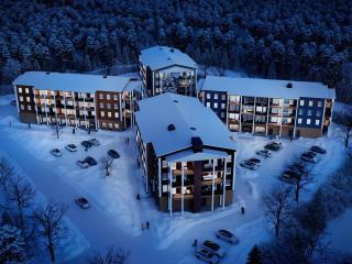 Santa's Aurora Suites by BookLapland - 5