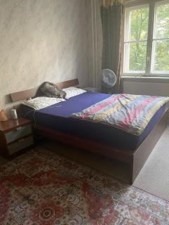 Cozy room Berlin Mitte - 0