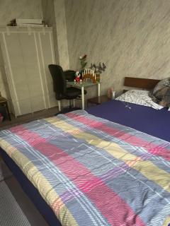 Cozy room Berlin Mitte - 2