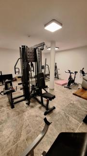 Altholz Chalet mit Garten und Fitnessraum in Söll - 1