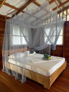 La tarima del colibri Ecolodge - 1
