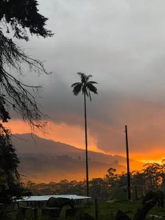 Valle Hebrón - Cocora - 3