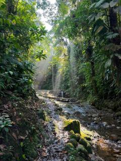 Finca Dorita - 9