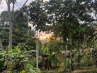 Finca Dorita - 2