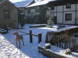 Auberge du Val d'Aisne - Fanzel - 5