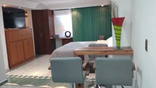 Loft with Parking, Expo Zone, Hotel Riu, Minerva - 3