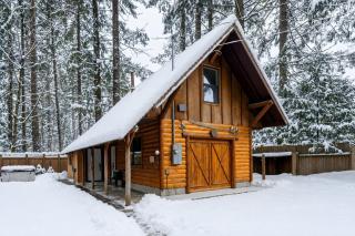 Mt Hood Log Cabin! Fresh Remodel with Airstream 2 - 0