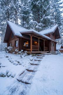 Mt Hood Log Cabin! Fresh Remodel with Airstream 1 - 9