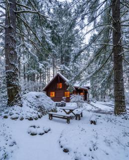Mt Hood Log Cabin! Fresh Remodel with Airstream 1 - 5