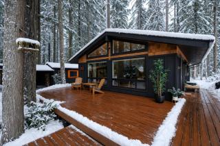 Forest Cabin Retreat - Dog Friendly - Hot Tub - 4