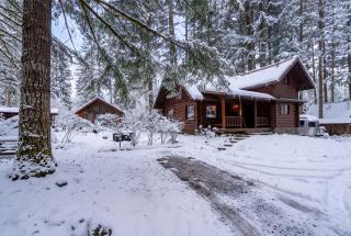 Mt Hood Log Cabin! Fresh Remodel with Airstream 1 - 8