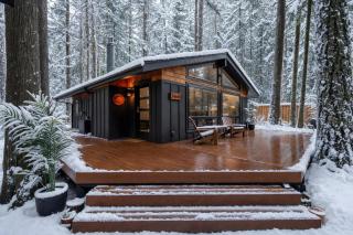 Forest Cabin Retreat - Dog Friendly - Hot Tub - 0