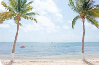Ground Floor Apartment in Cancún with beach access & Pool - 6