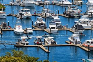 Belle Escapes 79 Harbour Lights with Parkland & Marina Views - 3