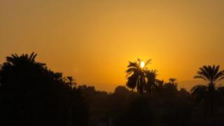 Luxor Magic Nile view - 5