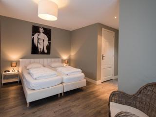 Luxury dune villa on Ameland - 6