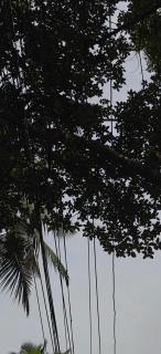 AKH Residency - 3