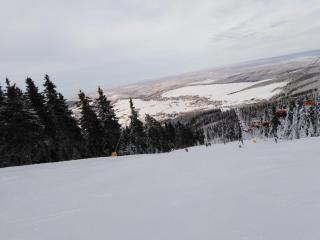 Bungalow Waldidyl im Erzgebirge -  - 8