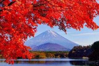 Fuji Gran Villa - TOKI - - 0