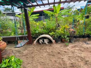 บ้านอุดมพงฟาร์มสเตย์ อุดรธานี - 9