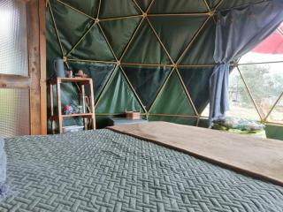 Glamping Cabaña San Martin - 8