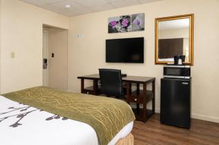Bedford Motel - 4